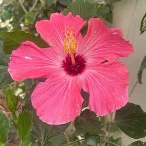 Meet your Posher, Ellie